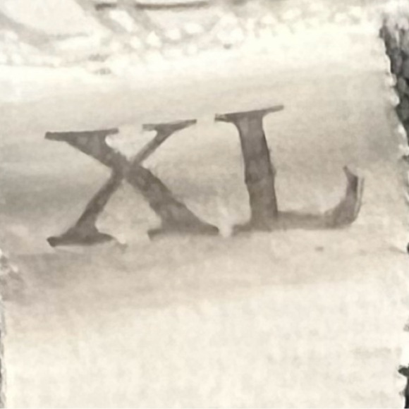 🍄Women's Sea Turtle Turquoise Ocean V-Neck Shirt Beach Vacation Top Blouse XL - Picture 5 of 8